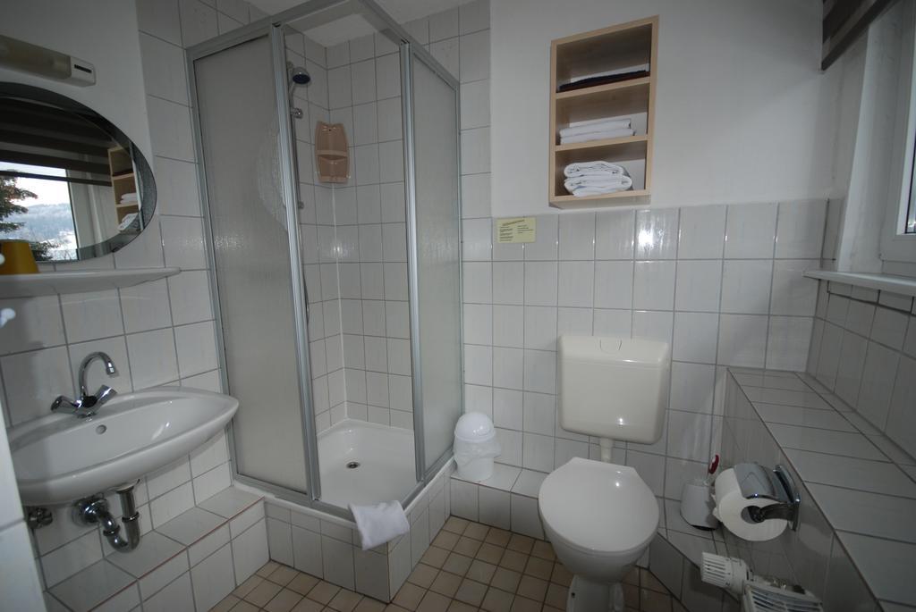 Pension Haus Am Hirschsprung Willingen  Kültér fotó