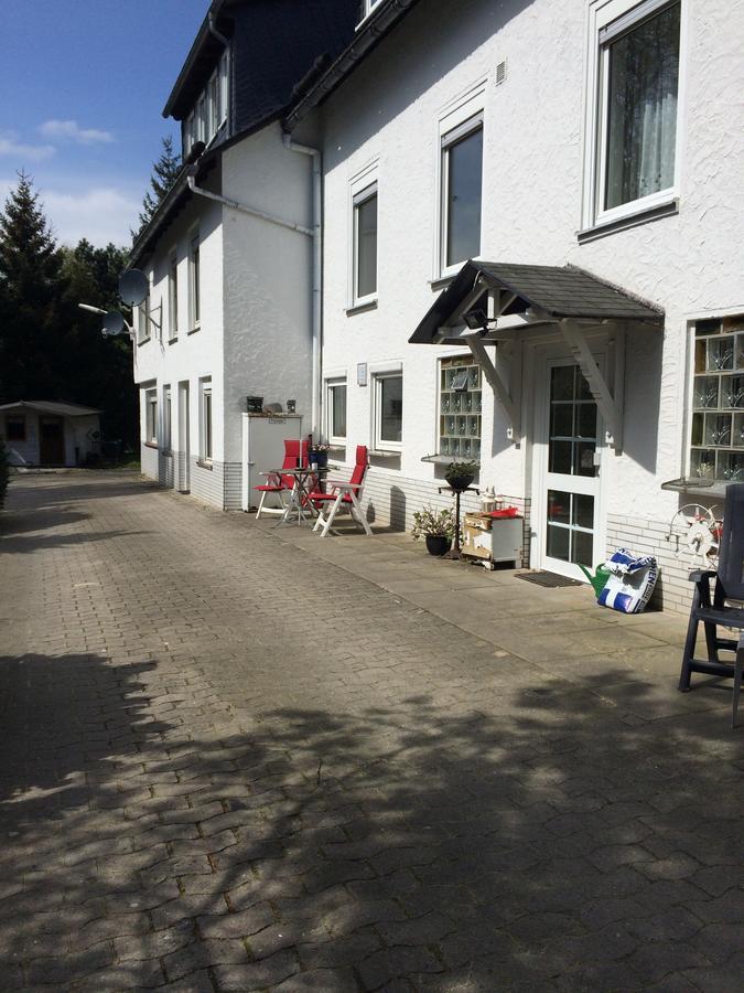 Pension Haus Am Hirschsprung Willingen  Kültér fotó